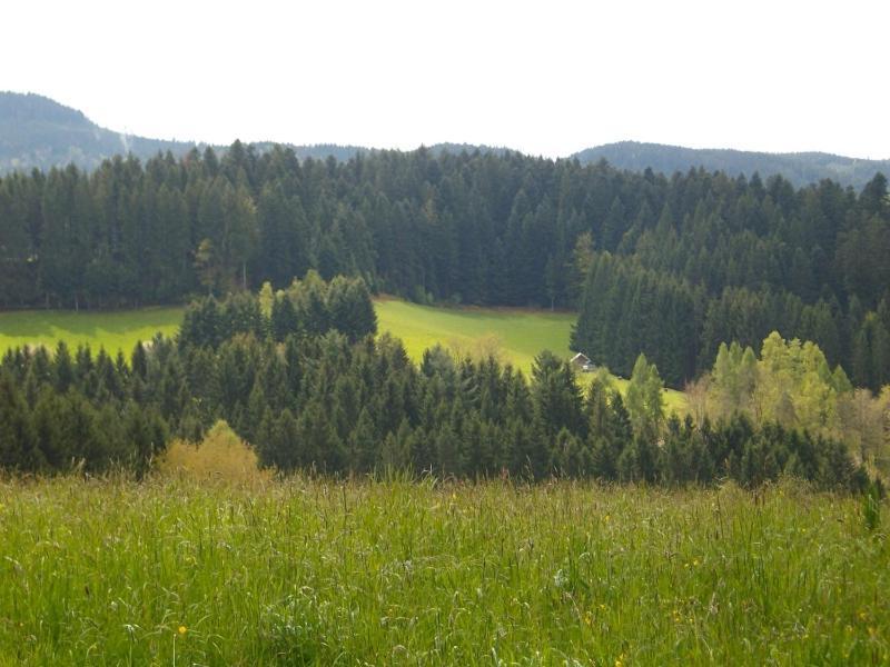 Ferienwohnung Am Sulzbaechle Bad Rippoldsau-Schapbach Εξωτερικό φωτογραφία