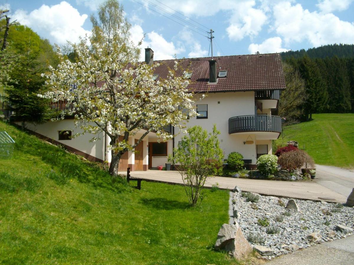 Ferienwohnung Am Sulzbaechle Bad Rippoldsau-Schapbach Εξωτερικό φωτογραφία